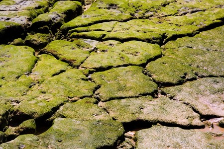 Cracked Rocks on the Sea の写真素材