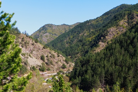 Mountains,Tara,Serbia