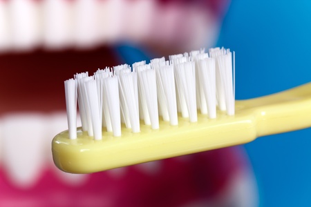 Jaw Model ,toothbrushの写真素材