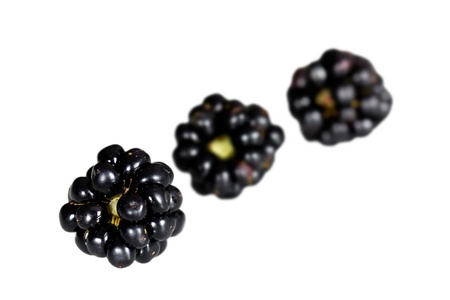 blackberry ,Rubus fruticosus,close up の写真素材