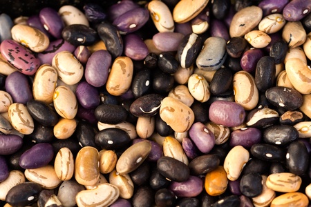 colorful beans background の写真素材