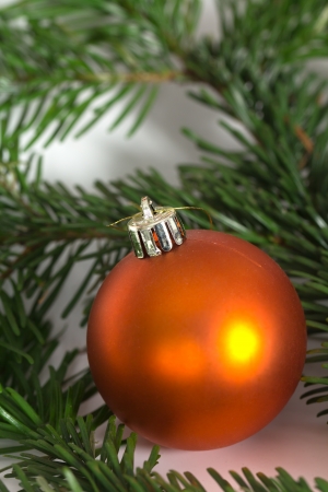 Bauble and Firの写真素材