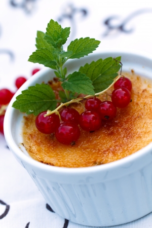 Creme Brulee with red Currants, isolated on White の写真素材