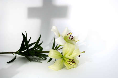 White lily on white with shadow of crossの写真素材