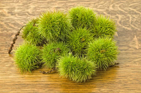 Sweet Chestnut on wooden background.の写真素材