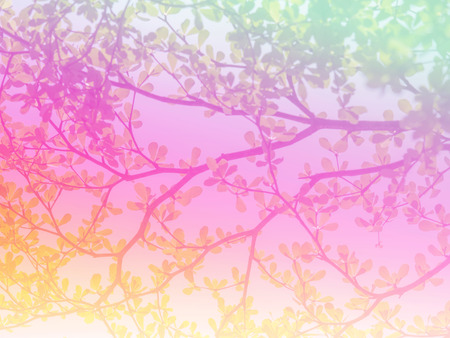 Abstract twigs and leaves background.  Twigs and leaves made with color filters.の写真素材