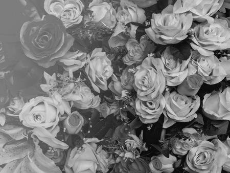 Abstract Blurry of Flower and gray background. Beautiful gray flowers made with color filters.の写真素材