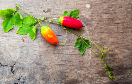 Two of Ivy gourd put on the wood background.の写真素材