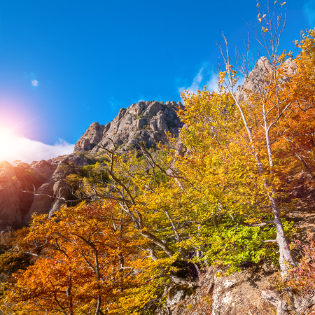 Summer landscape in the mountains. Sunriseの写真素材