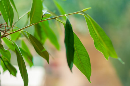 Vibrant green leaves dancing in a gentle breeze, creating a serene atmosphere. a tranquil display of...