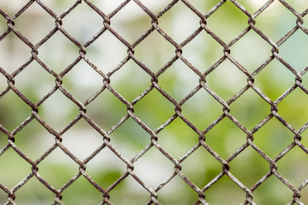 Grid around a kindergarten