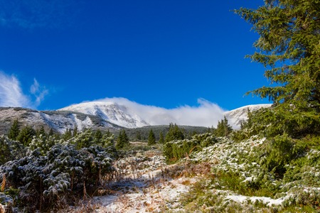 Wild winter nature in high alpine mountainesの写真素材