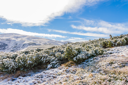 Wild winter nature in high alpine mountainesの写真素材