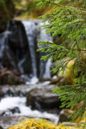 Small mountain waterfall in the deep forestの写真素材
