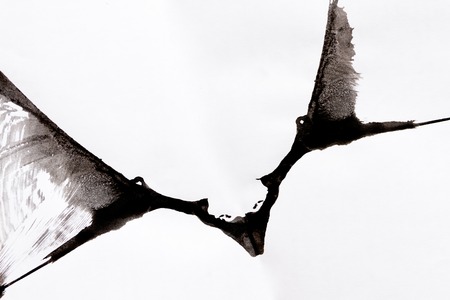 Abstract black spot paint on white paperの写真素材