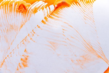 Abstract orange spot paint on white paperの写真素材