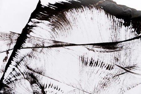 Abstract black spot paint on white paperの写真素材