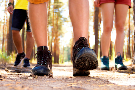 Close-up shooting of tourist's legs walking through the woodsの写真素材