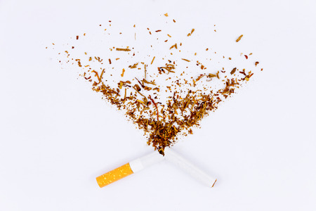 Broken cigarette and tobacco isolated on white backgroundの写真素材
