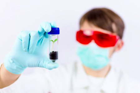 Scientist holding a plant in the glass flask for experimentの写真素材