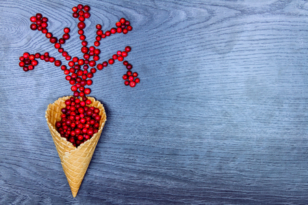 Healthy food. Wafer cup with flowers made of red cranberriesの写真素材
