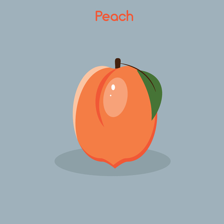 Colorful peach icon isolated on grey background. Vector illustrationのイラスト素材