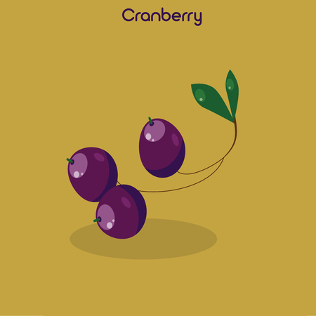Colorful cranberry icon isolated on mustard background. Vector illustrationのイラスト素材