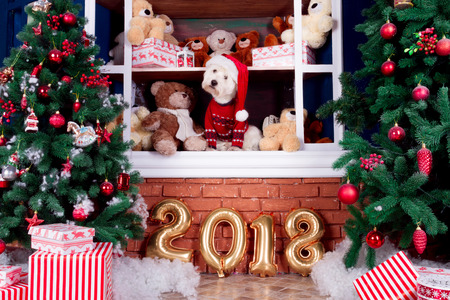 Decorated west highland white terrier dog as symbol of 2018 New Year in red sweater sitting on shelf with teddy bears in winter holidays and christmas tree on backgroundの写真素材