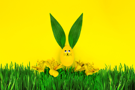 Happy Easter Day. Yellow easter rabbit with green leafs as rabbit ears and face on green spring's grass on yellow backgroundの写真素材