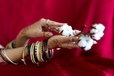 Elegant female wrists painted with traditional Indian oriental mehndi ornaments by henna. Hands dressed in bracelets and rings hold branch with cotton flowers. Vinous fabric with folds on background.の写真素材
