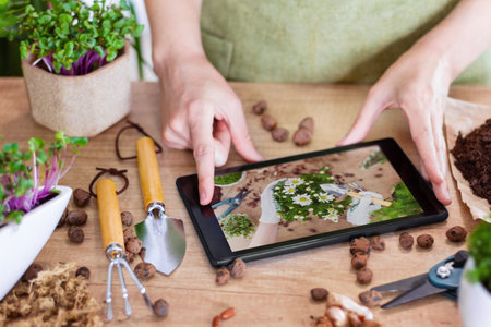 Smart farmer using tablet technology maintaining agriculture growth farming greenhouse plants researching taking care science development cultivating analyzing flora nature natural vegetationの写真素材