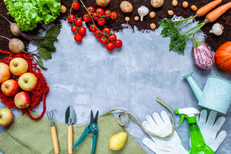 Frame laid out from gardening tools, supplies, natural healthy fresh vegetables, fruits, greens on concrete gray background. Farming and agriculture concept. Autumn harvest. Eco organic vegan food.の写真素材