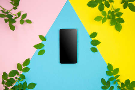 Mockup blank smartphone screen display on yellow, blue, pink background with scattered green leaves. Copy space for advertising text. Modern technology, web application for devices. Summer spring moodの写真素材