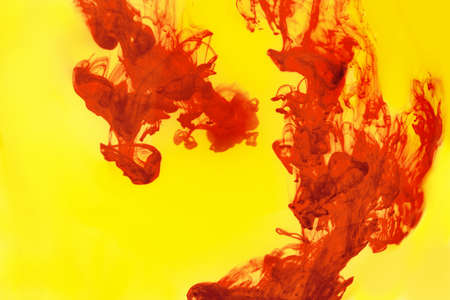 Bright red and yellow acrylic paint swirling in water. Ink moving in liquid creating abstract...