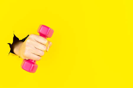 Closeup female hand is holding pink dumbbell in torn hole of yellow studio background with copyspace. Gesturing, holding, presenting things. Negative space for your advertising. Showing, pointing.の写真素材