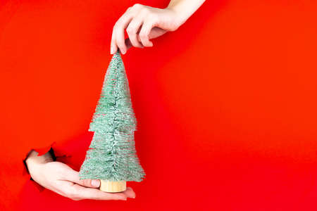 Female hand is holding mini christmas tree in torn hole of red background. Happy New year concept. Greeting invitation card, winter holidays, xmas celebration. Copy space for text, mockup, template.の写真素材