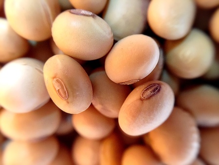 Soy beans.
