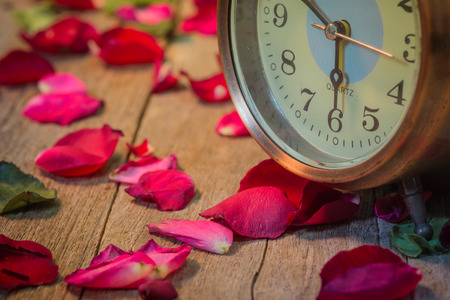 Rose watches the meaning of loveの写真素材