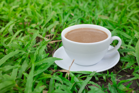 white cup of coffee over the grass in the gardenの写真素材