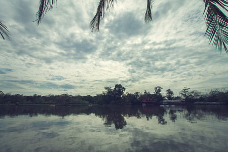 Landscape vintage style in parkの写真素材