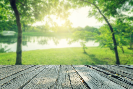 landscape vintage style in parkの写真素材