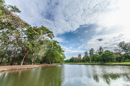 landscape park and grass in city