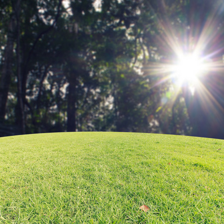 landsca background retouch vintage style in natureの写真素材