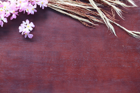 background abstract wooden color filters styleの写真素材