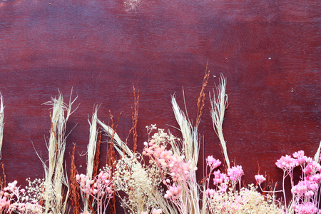 background abstract wooden color filters styleの写真素材