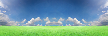 beautiful landscap panorama blue sky with cloud and grass