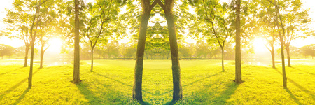beautiful landscap panorama park in city