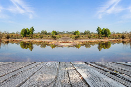 beautiful landscap park in cityの写真素材