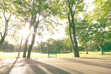 beautiful landscap park  in city color filters vintageの写真素材