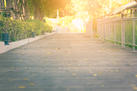 road and beautiful sunset in parkの写真素材
